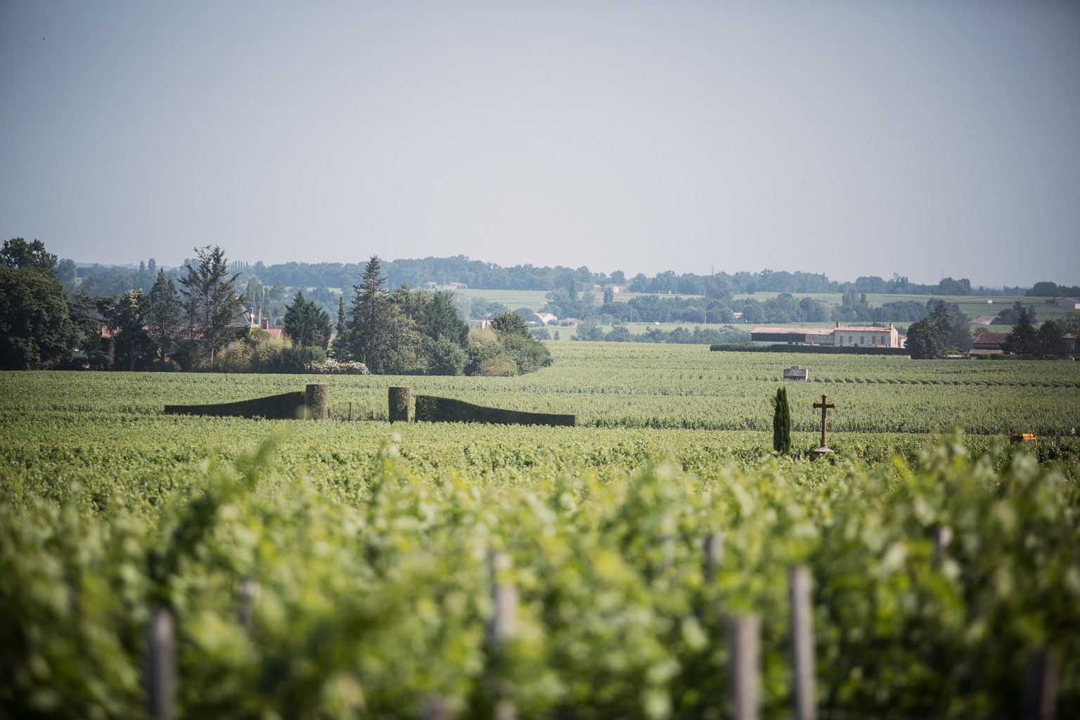 A property with character - Château Franc Mayne - Château Franc Mayne