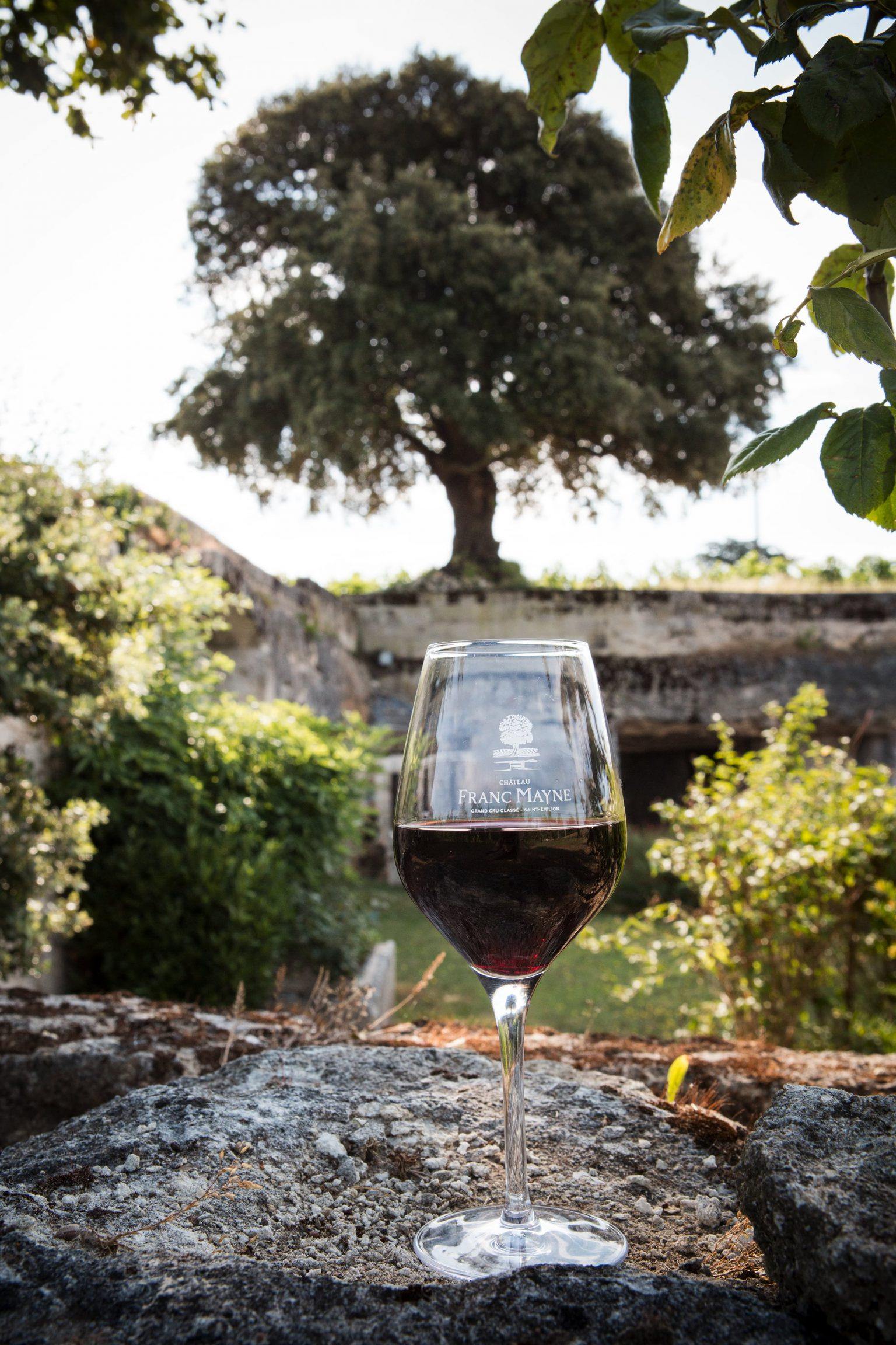 A superb setting for wine tourism - Château Franc Mayne - Château Franc Mayne