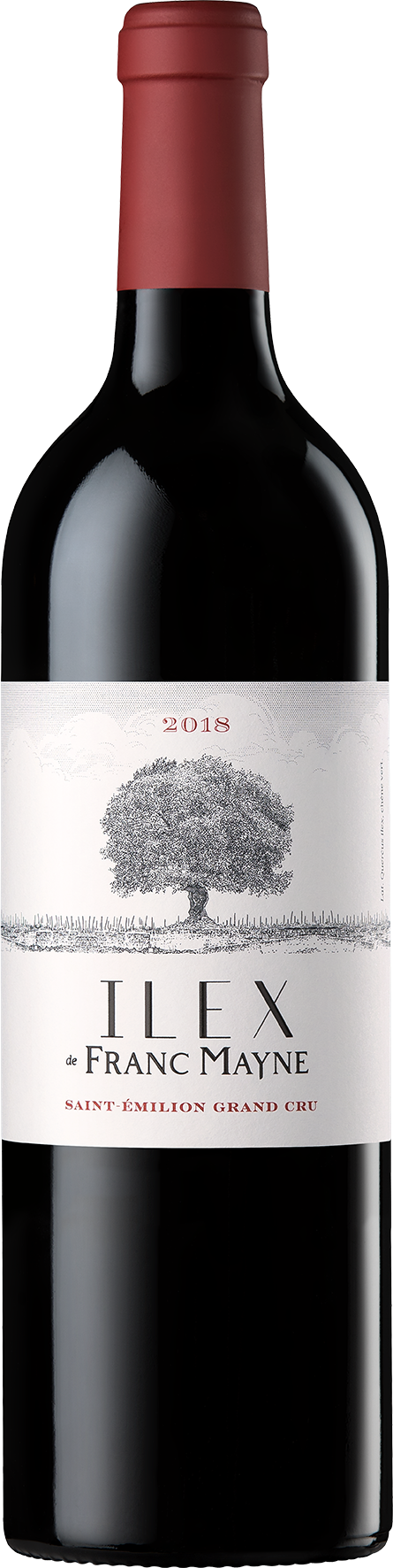 Ilex de Franc Mayne 2018 - Grand cru classé Saint-Emilion - Château Franc Mayne