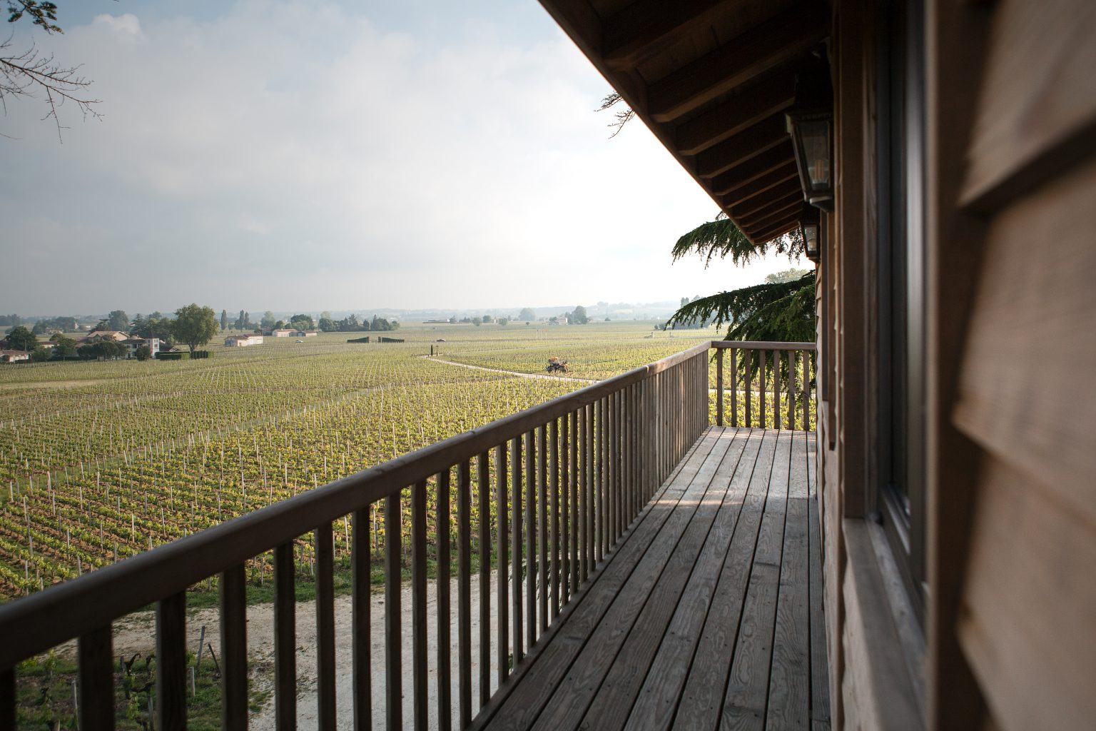 A superb setting for wine tourism - Château Franc Mayne - Château Franc Mayne