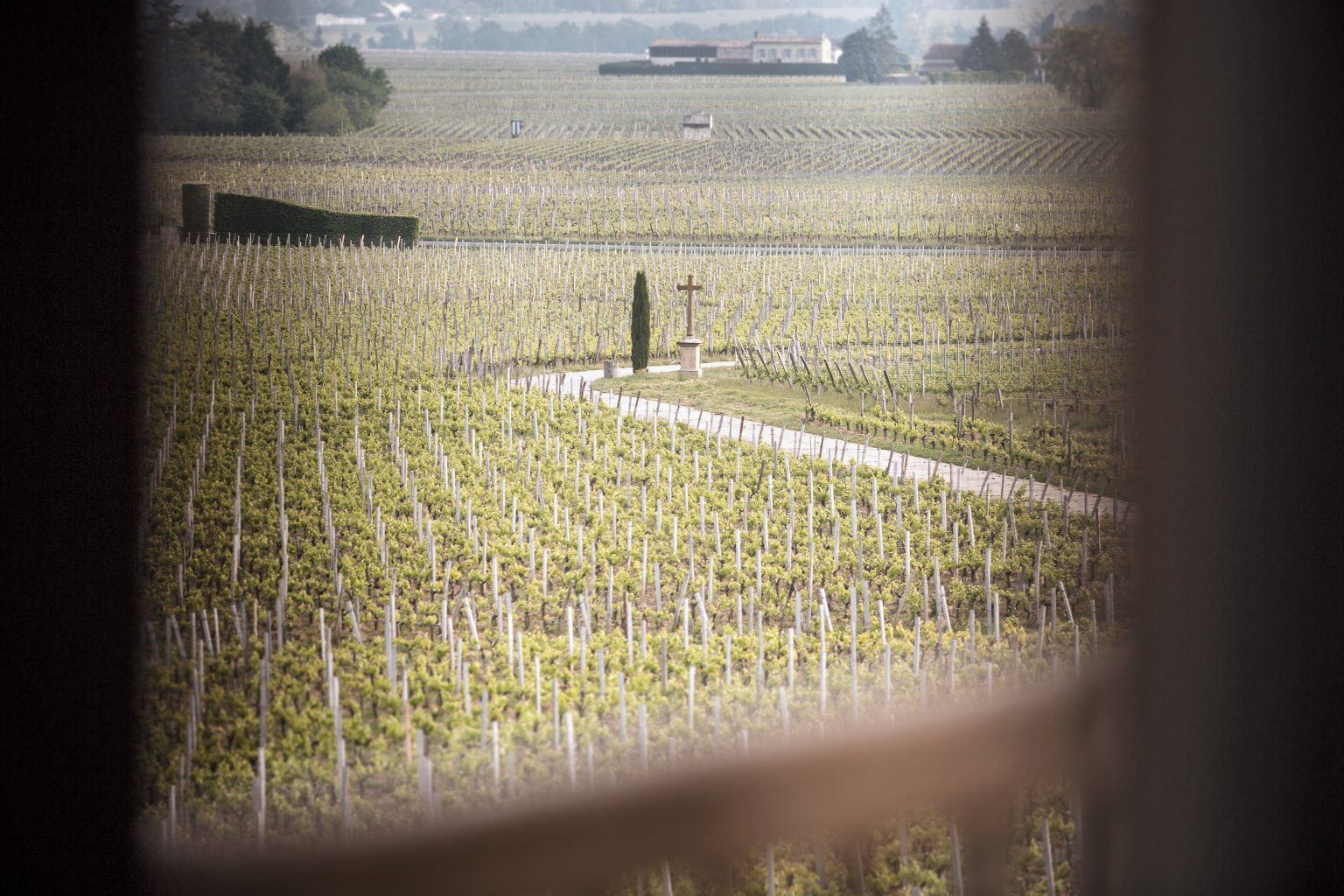 A superb setting for wine tourism - Château Franc Mayne - Château Franc Mayne
