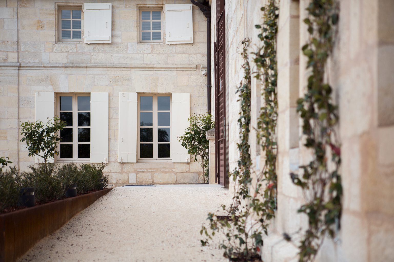 Une nouvelle histoire - Château Franc Mayne - Château Franc Mayne